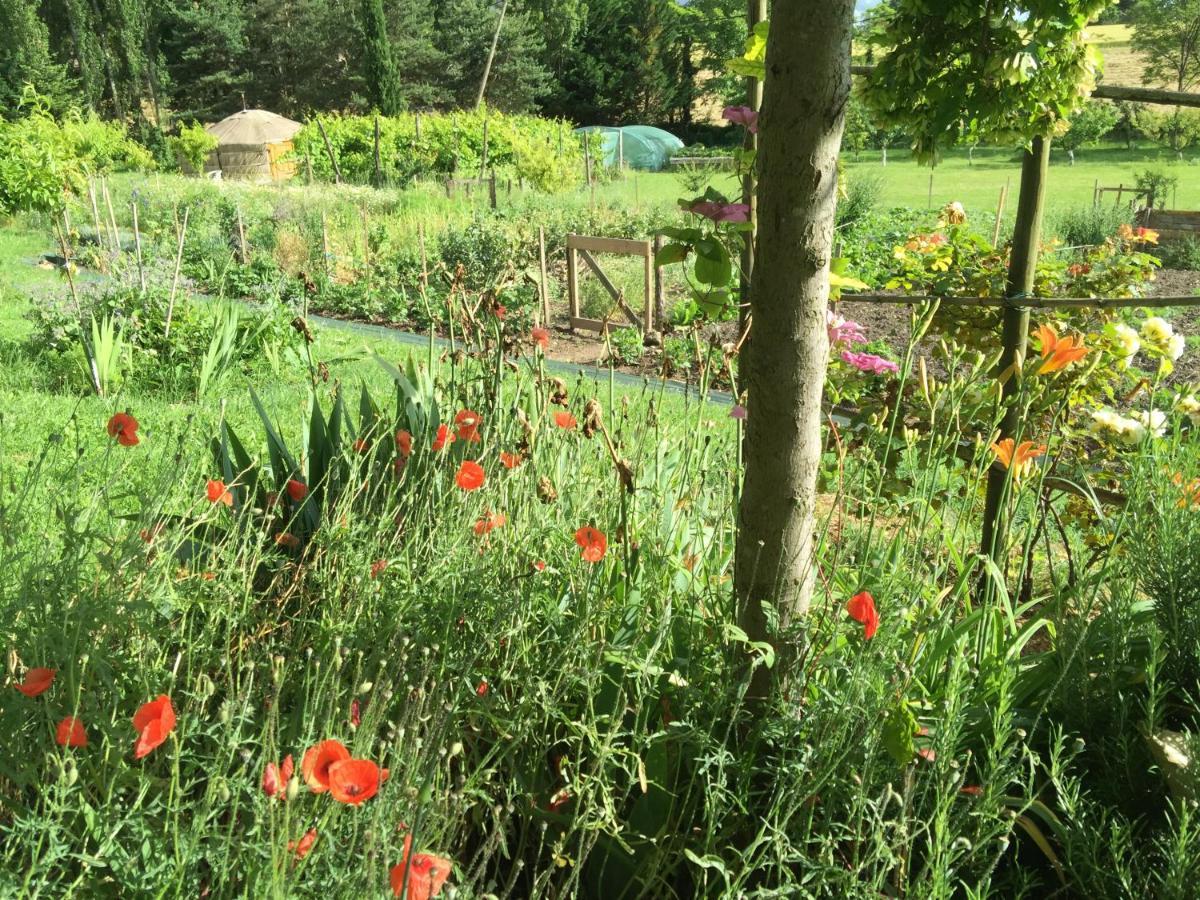 La Source, Vegetarian Guest House Chabeuil Buitenkant foto