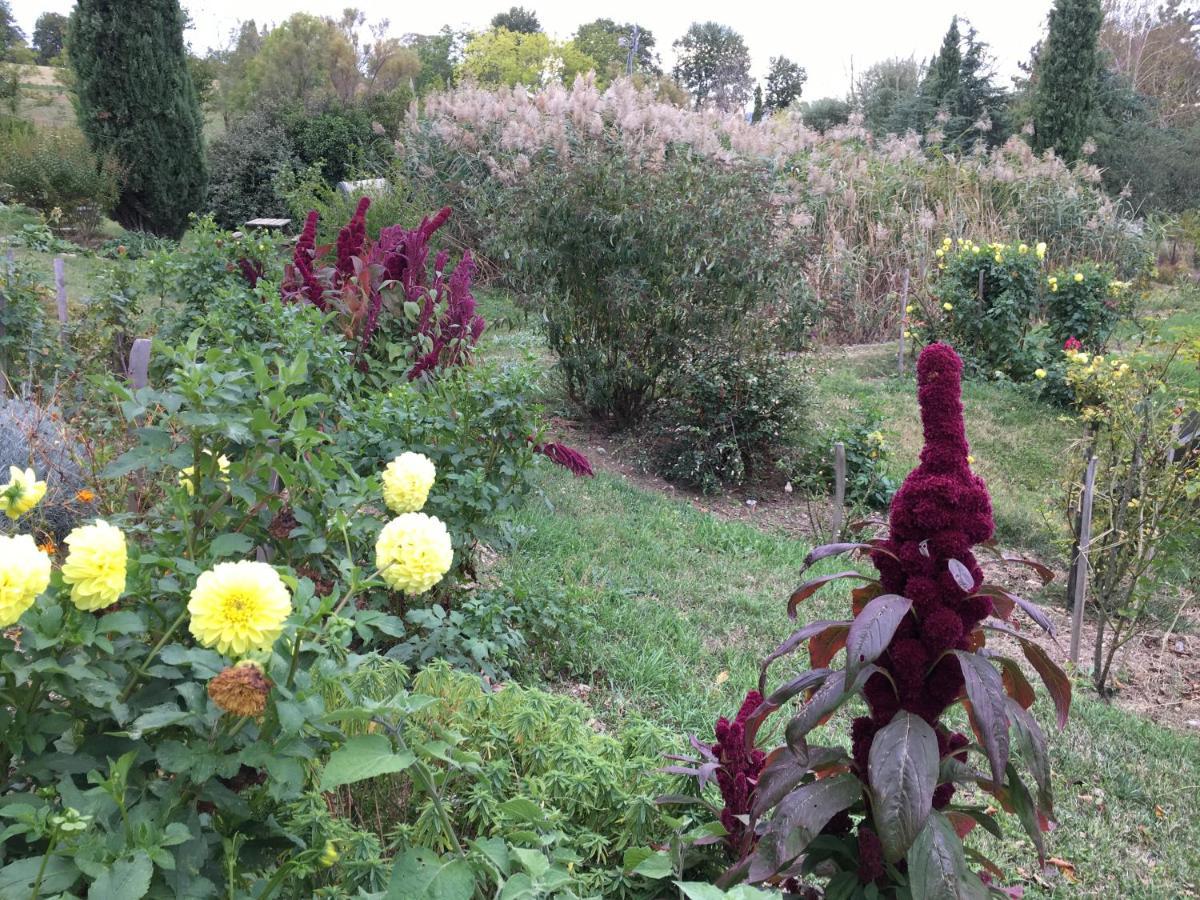 La Source, Vegetarian Guest House Chabeuil Buitenkant foto