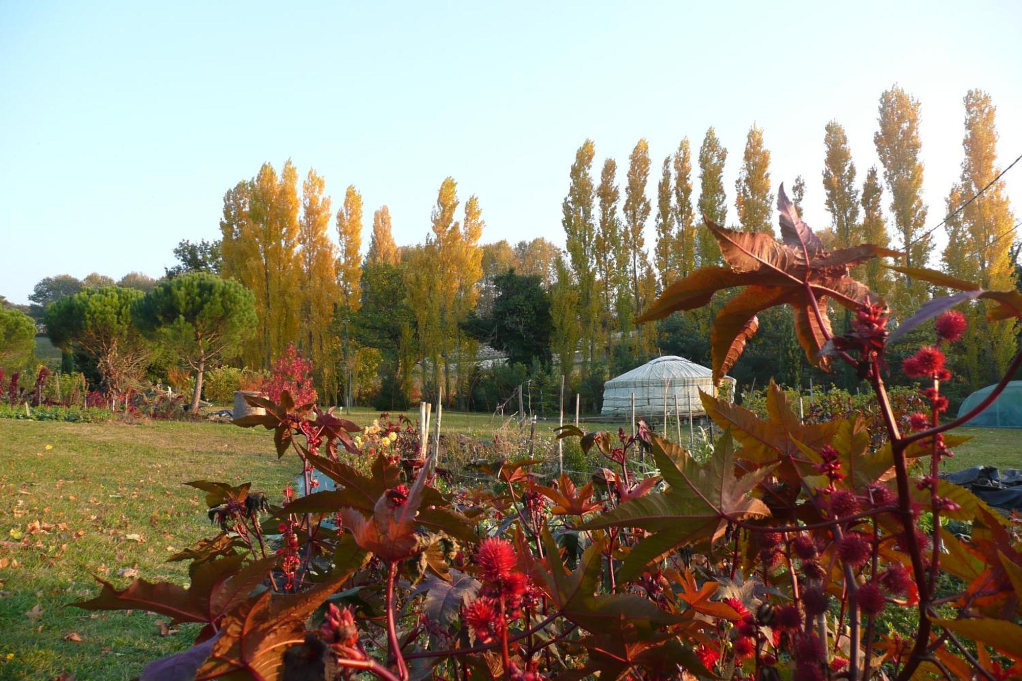 La Source, Vegetarian Guest House Chabeuil Buitenkant foto